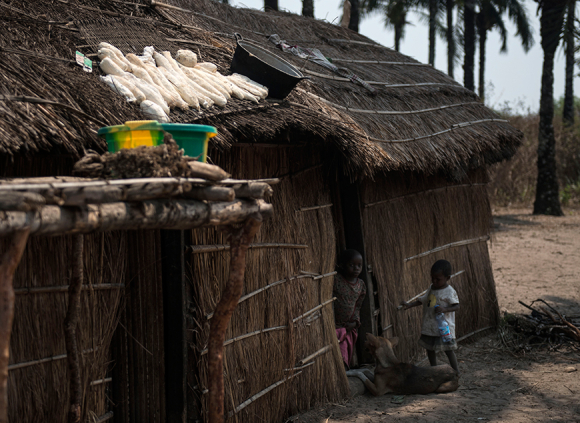 Cassava roots dry on the roof of a house on the outskirts of Kahemba