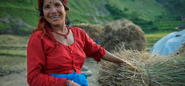 A woman laughs while working in a paddy field in Sakayal village of Dadeldhura District in Nepal.