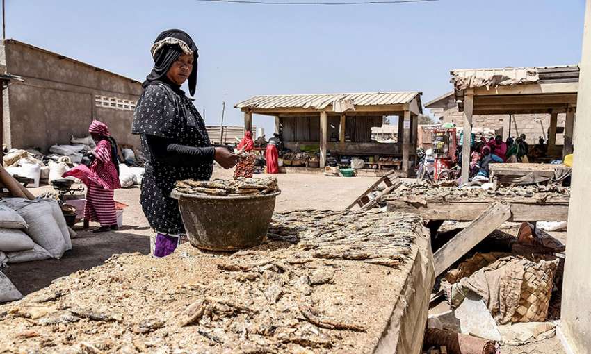 A woman arranges dried fish at the deserted fish market in Rufisque on April 9, 2020. 