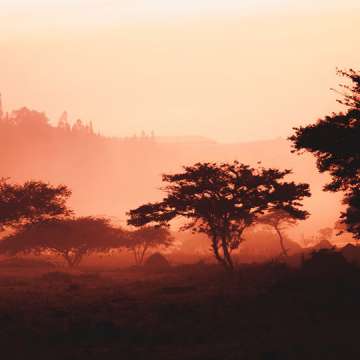 Sunrise in Kigali, Rwanda. Image by Maxime Niyomwungeri/Unsplash