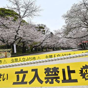 A cherry blossom viewing area is closed amid COVID-19 pandemic. Ueno Park, Tokyo. March 30, 2020.  Philip Fong/AFP/Getty