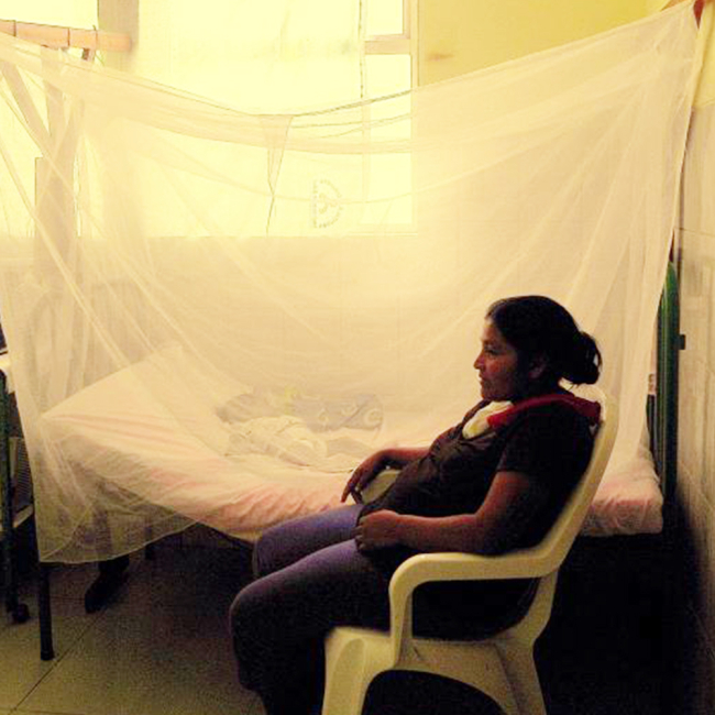 mosquito net